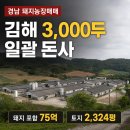 경남 돼지농장매매 김해시 3,000두 일괄 돈사 75억원, 토지 2,324평 이미지