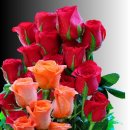 8월 5일 화요일 간추린 뉴스와 날씨 이미지