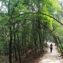 도봉-도봉-서울도봉-2116 이미지