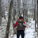 무릉도원면-27 이미지