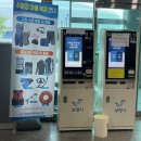 보령국민체육센터 | [수영] 찐 원정수영 : 보령 국민체육센터 주말 자유수영 후기