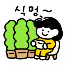 포레스테리어 이미지