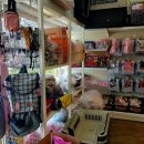 춘천대형약국 이미지