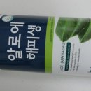 알로에판매원 네이버블로그