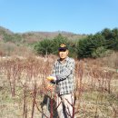 기순농장 이미지