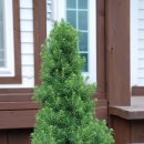 그린팜스테이 이미지