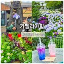 동양상회내 | 제주수국 명소 카멜리아힐, 가족과 함께 다녀온 초여름 제주여행