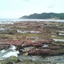 해누리펜션 네이버블로그