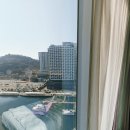 여수블라썸호텔 앤 카페 | [여수 숙소 후기] 여수 베네치아호텔 2박3일 (오션뷰숙소, 부대시설, 조식후기)