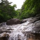 한스바움 이미지