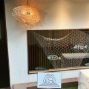 신사-101 | 신사역숙성회 카이단, 3단 계단숙성회 신사역횟집 코스 후기