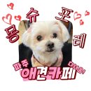 몽슈
