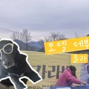 탐스럽개 이미지