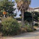 퍼머넌트베케이션표선 이미지