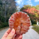 별이 | 전북 부안 개암사 근처 현지인 사골 곰탕 국밥 맛집 개암곰탕 ♥♥♥