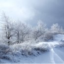 1/22(토) 예봉산으로 올라 예빈산으로 눈꽃산행(아사달대장) 이미지