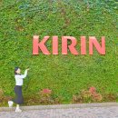 한국유미코아3공장 | 요코하마 가볼만한곳 기린 맥주공장 투어 예약 방법 견학 후기