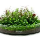 테라리움 이미지