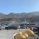 행복했던 1박2일 속초여행기록 (숙소, 장칼국수, 바다뷰카페, 속초관광시장)