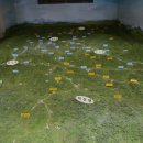 제천유물전시관 이미지