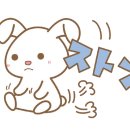 우사기짱