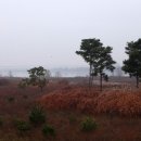 월곡리 마을회관 이미지