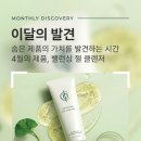 리만코리아
