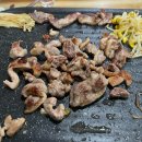 쌍쌍돼지두마리 이미지