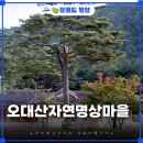평창 숙소 힐링 끝판왕 오대산자연명상마을 예약방법 자연식밥상