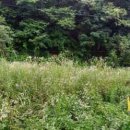 달천펜션 이미지