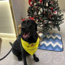 로이병원 이미지