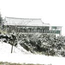 권만희1 이미지