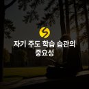 솔컨설팅 이미지