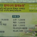 고성월계밭미나리