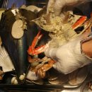 조게찜터 이미지