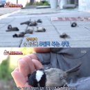 미문농장 이미지