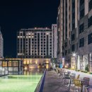 도미니클라바 이미지