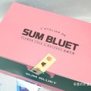 숨블리에