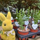 의암호가든 | 주말 춘천여행기 I 양평 두물머리 핫도그, 제이드가든, 혜정닭갈비