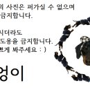 소르베유리작업실