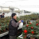 조선농장 이미지