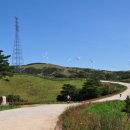 삼양목장 이미지