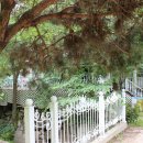 숲속의산책 펜션 이미지