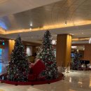 육회애(애)연어 본점 | 롯데호텔 서울 라세느 평일 런치 송년회 후기 (feat. 9개월 아기랑)