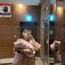 빛고을 | 빛고을 산후조리원 후기 &amp; 눈물의 완모 도전기