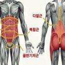 머슬핫바디 이미지