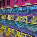 FUNNYLAND(퍼니랜드) 이미지