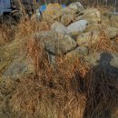 넙성리 마을회관 이미지