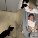 씨유 대전지족드림점 | [육아일기] ~생후 1개월 : bcg접종, 영유아검사, 뉴본촬영, b형간염 2차접종,