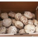 늘해랑농장 이미지